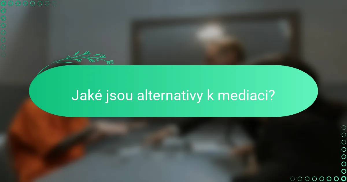 Jaké jsou alternativy k mediaci?