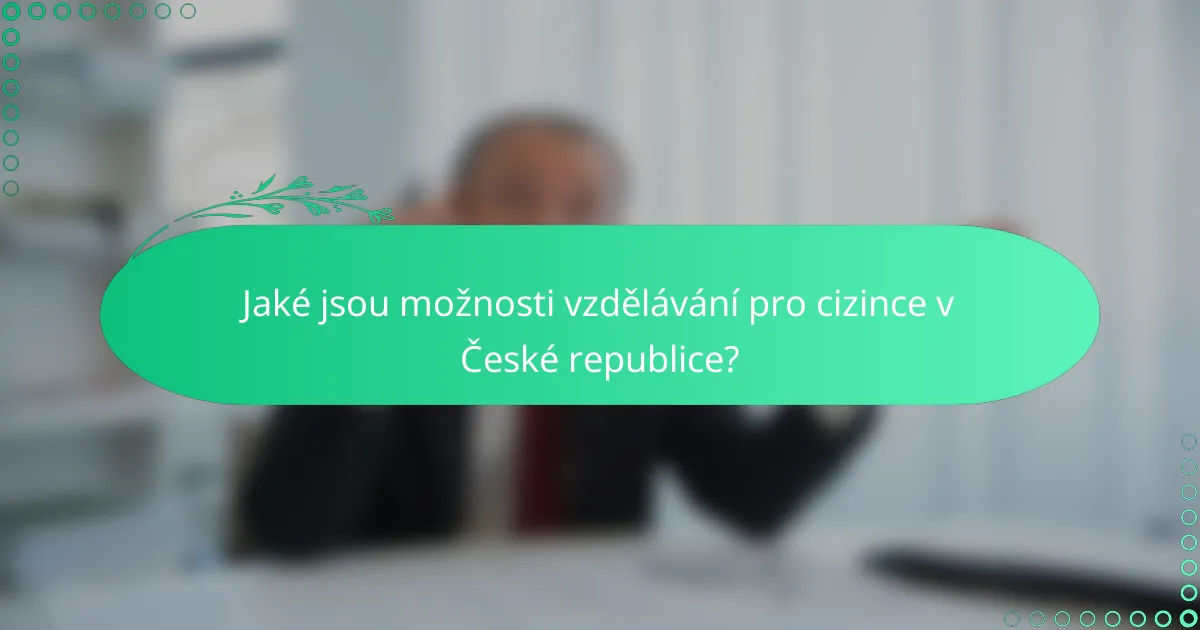 Jaké jsou možnosti vzdělávání pro cizince v České republice?