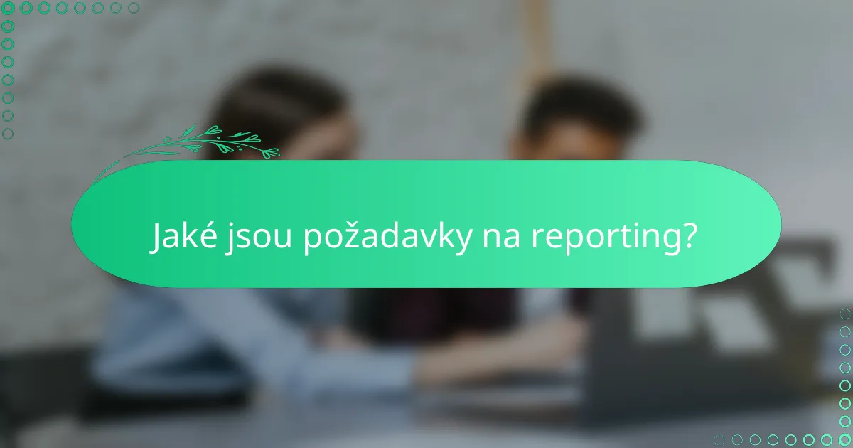 Jaké jsou požadavky na reporting?