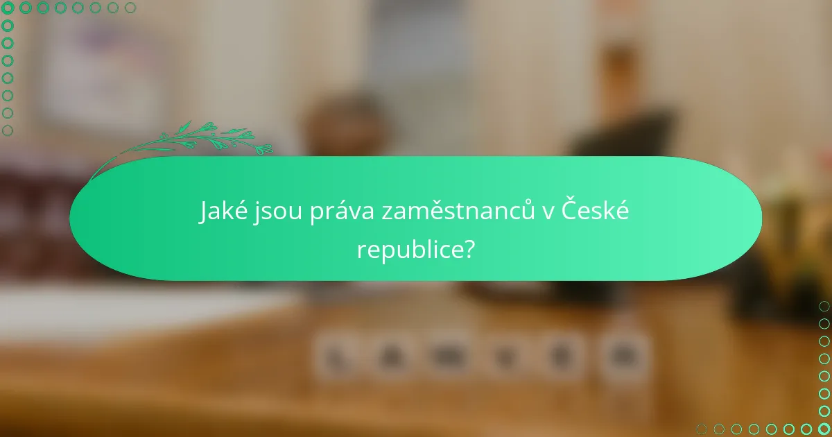 Jaké jsou práva zaměstnanců v České republice?