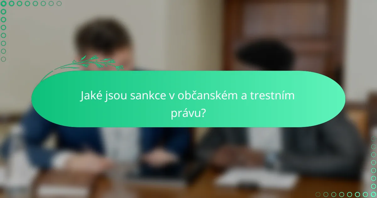 Jaké jsou sankce v občanském a trestním právu?